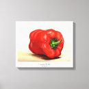 Suche nach paprikas kunst Rot