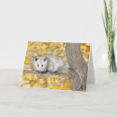 Suche nach opossums karten Aquarell