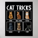 Suche nach trick poster Katzen
