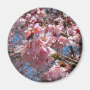 Suche nach kirschblüte blüte magnete Für alle