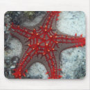Suche nach korallenriff mousepads Strand