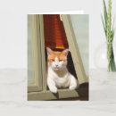 Suche nach katze am fenster karten Kitty
