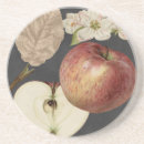 Suche nach studier studie untersetzer Früchte