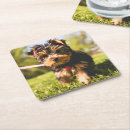 Suche nach niedlicher hund untersetzer Lustig