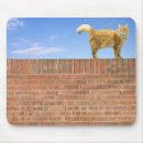Suche nach ziegelsteine mousepads Backsteinmauer