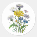 Suche nach kornblumen aufkleber Vintage