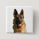 Suche nach schäferhunde buttons Haustiere