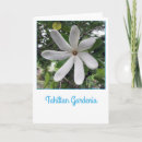 Suche nach tahitian Tropisch