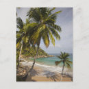 Suche nach playa postkarten Tropisches klima