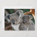 Suche nach tierfamilie karten Wildtiere