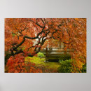 Suche nach japanischer ahorn poster Rot