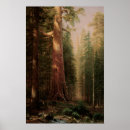 Suche nach mariposa poster Natur