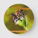 Suche nach honigbiene wanduhren Bienen