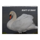 Suche nach schönheit kalender Vögel