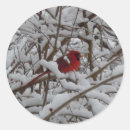 Suche nach rote kardinäle aufkleber Baum