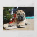 Suche nach shar pei postkarten Weihnachten
