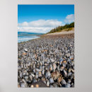 Suche nach argentines Patagonia