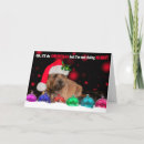 Suche nach mürrisch karten Sankt