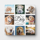 Suche nach hunde beileid fotoplatten Gedenkstätte