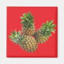 Suche nach nahrungsmittel magnete Ananas