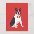 Suche nach boston terrier postkarten Jede person