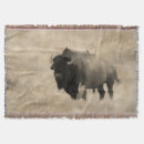 Suche nach bison decken Tierwelt