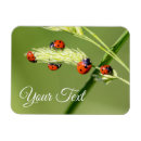 Suche nach glücksbringer magnete Für alle