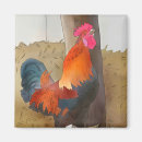 Suche nach hahn magnete Geflügel