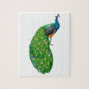 Suche nach peacock puzzle Vogelvogel