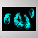 Suche nach schimpanse poster Tiere