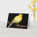 Suche nach finke karten Gelb