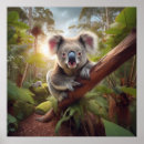 Suche nach süßer koala poster Jede person