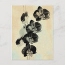 Suche nach orchids postkarten Orchidee
