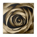 Suche nach makro fliesen Blume