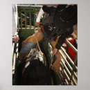 Suche nach stiere poster Rodeo