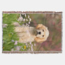Suche nach goldene retriever decken Hund