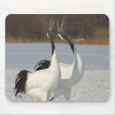Suche nach kran mousepads Natur