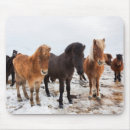 Suche nach isländisch mousepads Herde