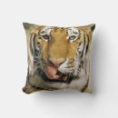 Suche nach zungen kissen Tier