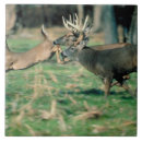 Suche nach läufer fliesen Natur