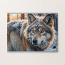 Suche nach wilde wölfe puzzle Schnee