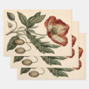 Suche nach mohnblumen geschenkpapier Elegant