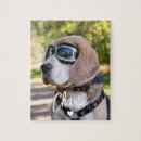 Suche nach hundefoto puzzle Süß