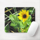 Suche nach gelbe wildblumen mousepads Natur