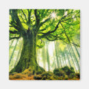 Suche nach baumstämme magnete Natur