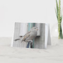 Suche nach spatz karten Foto