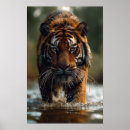 Suche nach tiger poster Sonne