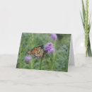 Suche nach monarchfalter karten Schmetterling