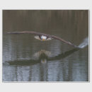 Suche nach adler geschenkpapier Tierwelt