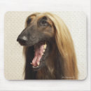 Suche nach afghane mousepads Hund